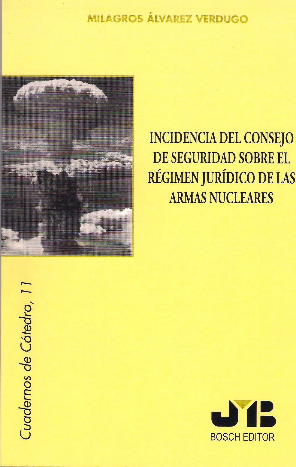 Incidencia del Consejo de Seguridad sobre el Régimen Jurídico de las Armas nucleares.