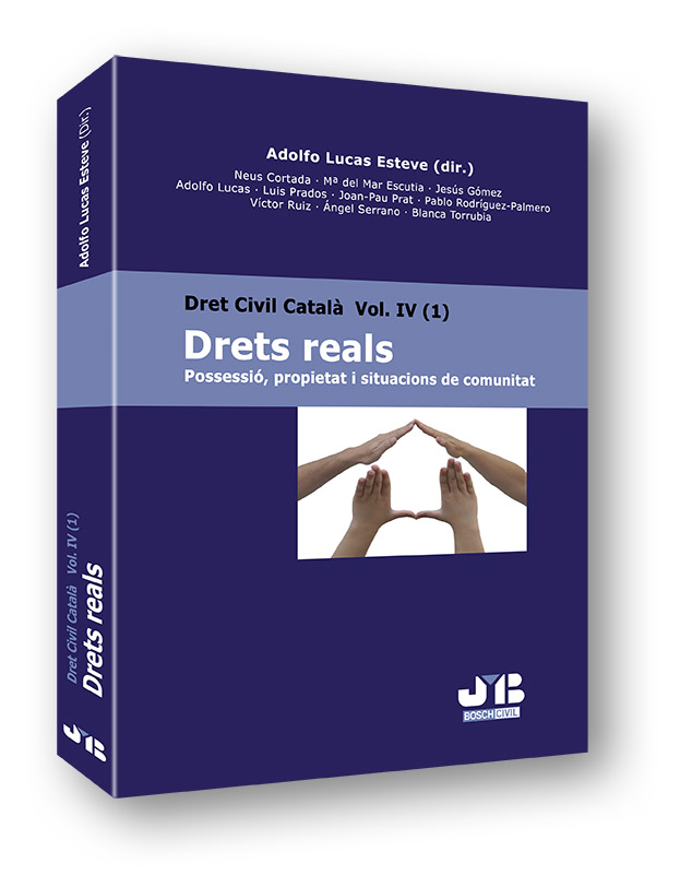 Drets Reals IV (1)